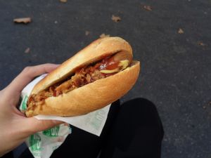 Hot dog (ketchup, mustard, pickles, caramelized and fried onions) at Hot Vog in Paris