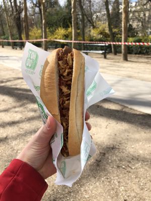 Tourist dog  at Hot Vog in Paris