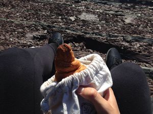 Vegan croissant on the go at Les Gourmandises Louca  in Quebec