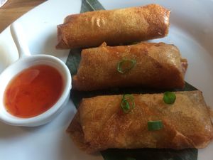 Spring rolls at Warung Jakarta in Warsaw