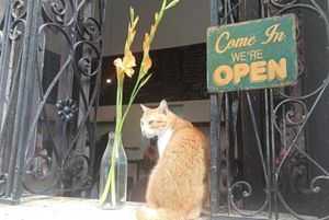  at El Cafe in Havana