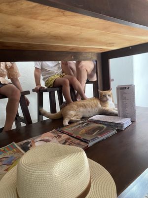 El jefe!   at El Cafe in Havana