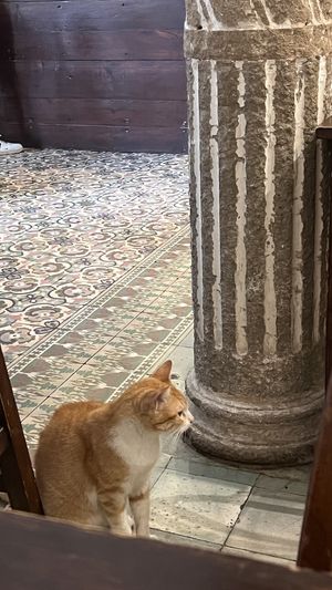 Interior  at El Cafe in Havana