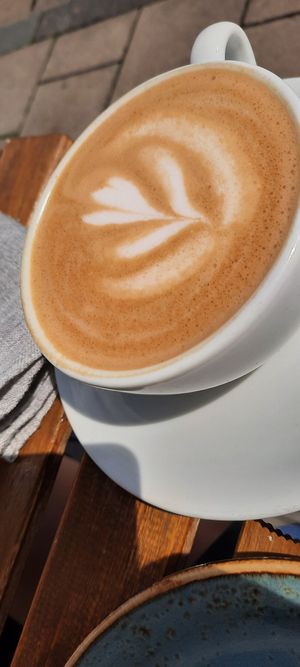  at Cradle in Sudbury