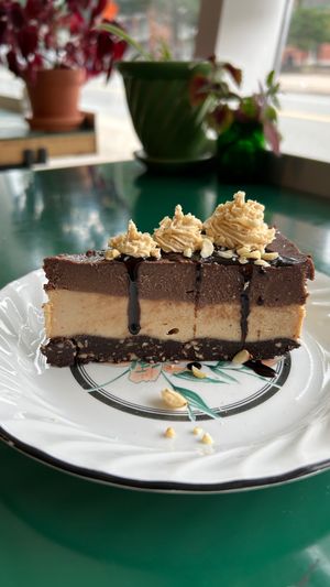  at Springhouse in Halifax