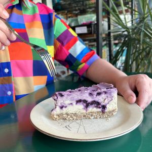  at Springhouse in Halifax