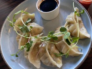 Veg and Tofu Dumplngs  at Springhouse in Halifax