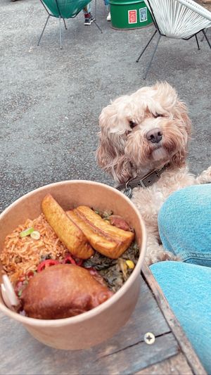   at GRUB in Manchester