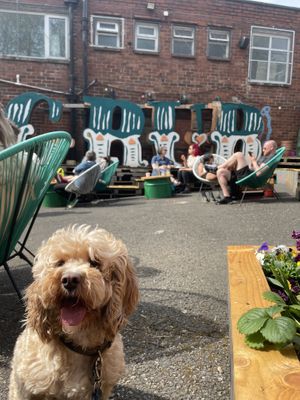   at GRUB in Manchester