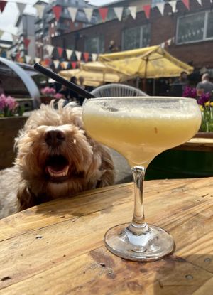   at GRUB in Manchester