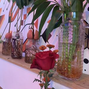 tudo de verdade 💚 at Vila das Rosas - Pinheiros in Sao Paulo