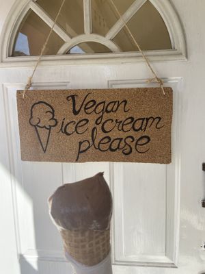 Chocolate vegan ice cream  at Vegan Parad-ice in Cruz De Huanacaxtle