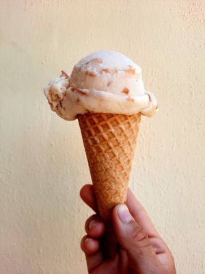 Helado de coco tostado, el favorito! at Vegan Parad-ice in Cruz De Huanacaxtle