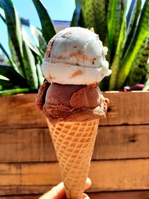 Chocolate y cookie monster at Vegan Parad-ice in Cruz De Huanacaxtle