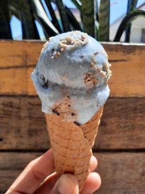 Cookie monster at Vegan Parad-ice in Cruz De Huanacaxtle