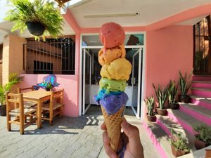 🏳️‍🌈🏳️‍🌈🏳️‍🌈 at Vegan Parad-ice in Cruz De Huanacaxtle