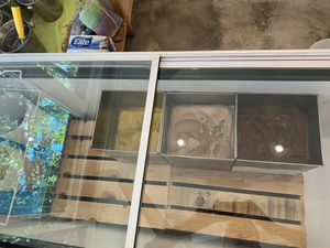 Ice cream at Vegan Parad-ice in Cruz De Huanacaxtle