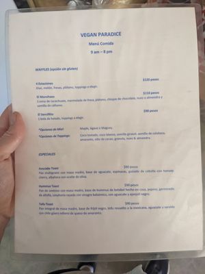 Menu at Vegan Parad-ice in Cruz De Huanacaxtle