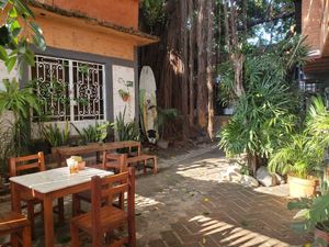 Interior garden dining area at Vegan Parad-ice in Cruz De Huanacaxtle