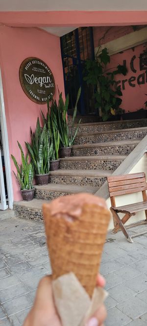 Delicioso ♥️ at Vegan Parad-ice in Cruz De Huanacaxtle