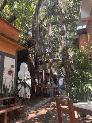   at Vegan Parad-ice in Cruz De Huanacaxtle