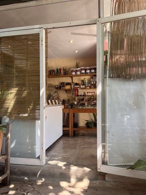   at Vegan Parad-ice in Cruz De Huanacaxtle