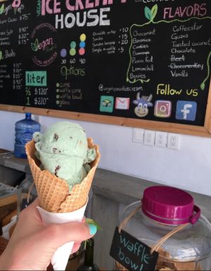 Mint ice cream was amazing   at Vegan Parad-ice in Cruz De Huanacaxtle