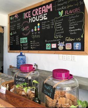 Amazing waffle cones   at Vegan Parad-ice in Cruz De Huanacaxtle