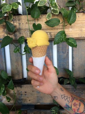 Mango Season  at Vegan Parad-ice in Cruz De Huanacaxtle