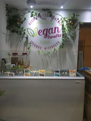 Interior  at Vegan Parad-ice in Cruz De Huanacaxtle