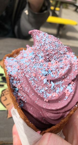   at Doe Donuts in Portland