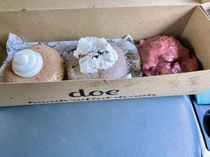   at Doe Donuts in Portland