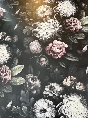   at Doe Donuts in Portland