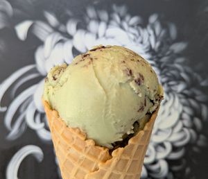 Chipped Mint at Doe Donuts in Portland