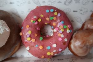 Doe! at Doe Donuts in Portland