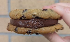 Chocolate Graham + S'mores Ice Cream Sandwich at Doe Donuts in Portland