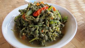 Fresh veggies from the local gardens at Lek & Greg Vegan Camp in Lamphun