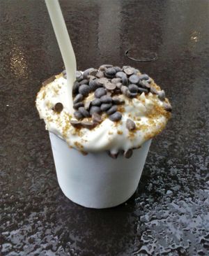 Frozen yogurt with crushed almonds, speculoos crumbs and chocolate chips at Laelo in Paris