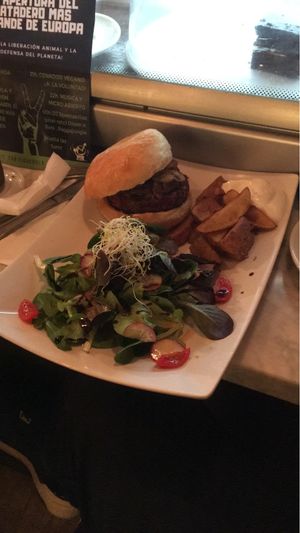 Burguer with salad and potatoes with all-i-oli. at La Raposa del Poble Sec in Barcelona