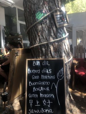 cool at Integral in Formentera