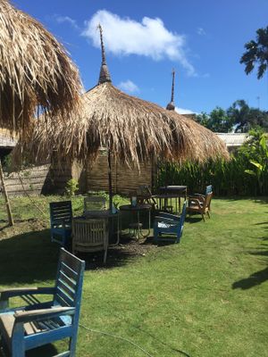 The garden  at Thyme and Caramel in Canggu