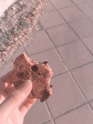 deliciosas 🍪 at El Gallo in Talca