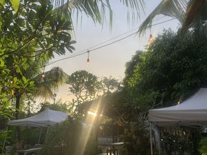   at 9 Angels Warung in Ubud