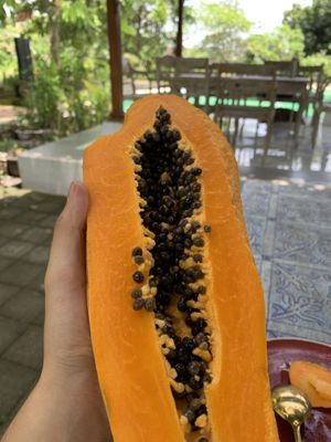   at 9 Angels Warung in Ubud