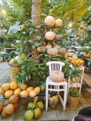 Produce in the garden at 9 Angels Warung in Ubud