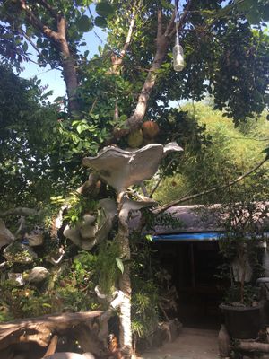 Lots of green!  at 9 Angels Warung in Ubud