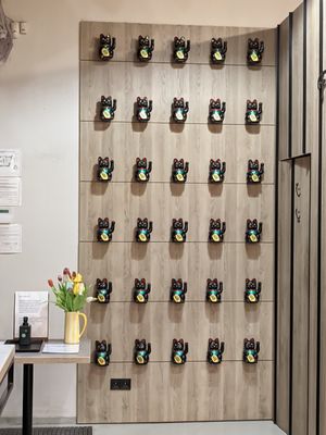  at Foodstock  in Bratislava