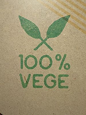   at Foodstock  in Bratislava