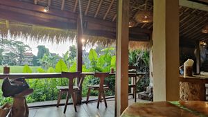 View at Atman Nourish Kafe in Ubud