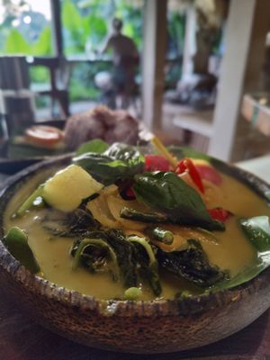 Balinese Curry with red rice at Atman Nourish Kafe in Ubud